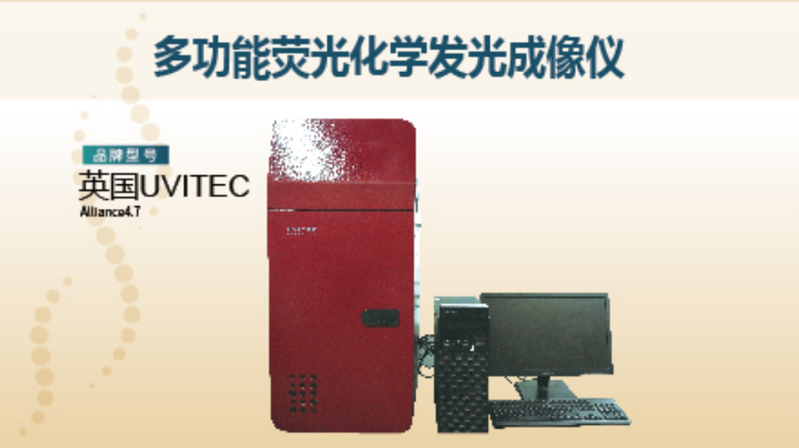 f85f44a879381dadd5e23abef20c9181.png