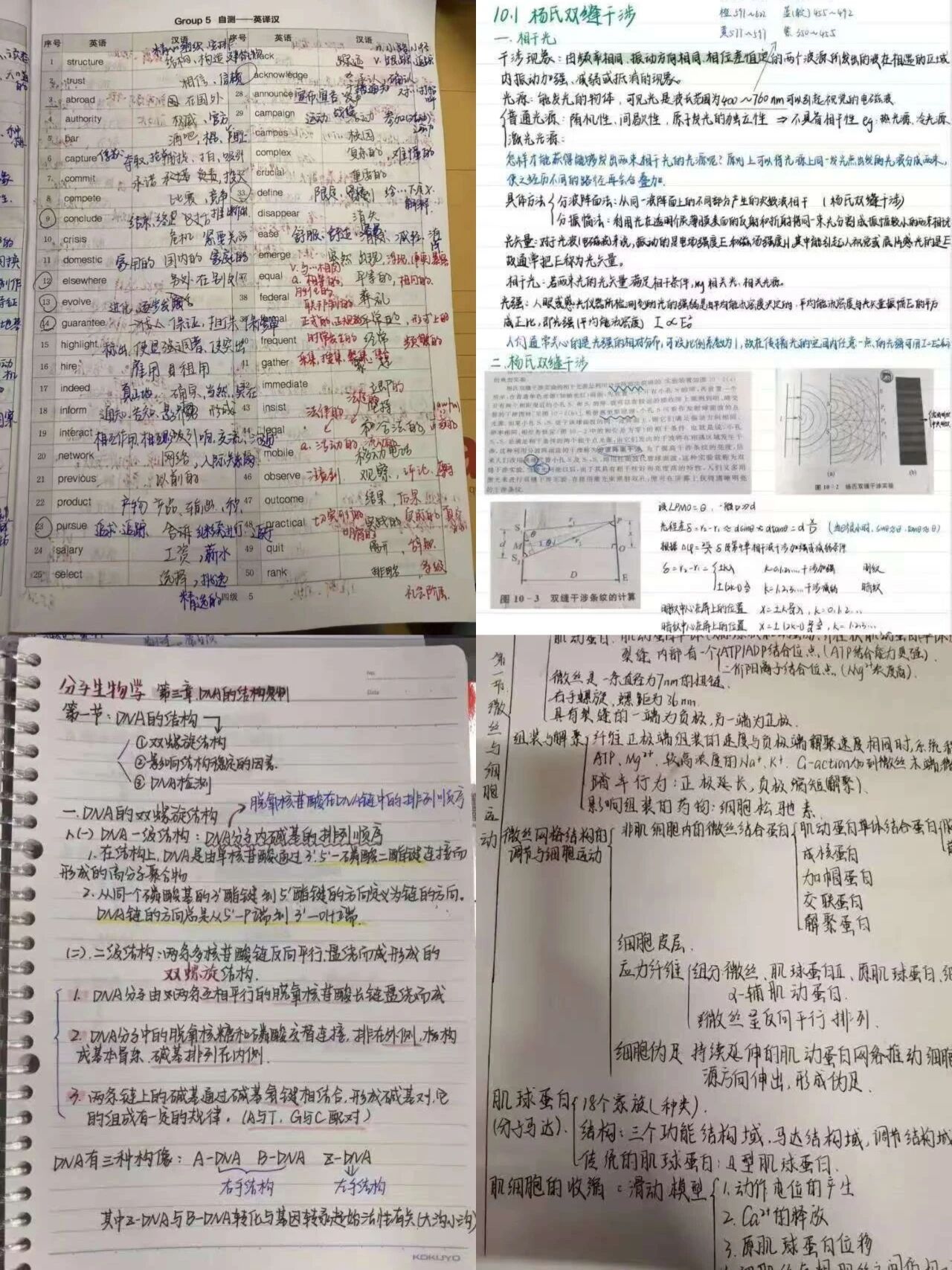 微信图片_2026-05-05_192104_043.jpg